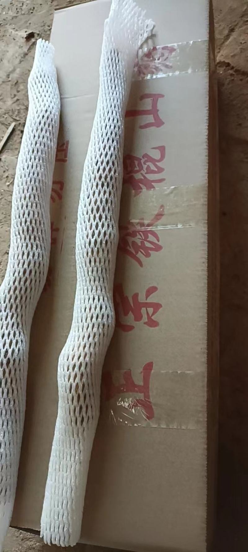 （热销）正宗温县垆土铁棍山药产区直供货源充足量大从优视频