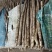 （热销）正宗温县垆土铁棍山药产区直供货源充足量大从优视频