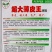 超大薄皮王辣椒种子高产稳产早熟皮薄微辣大果型薄皮椒种子