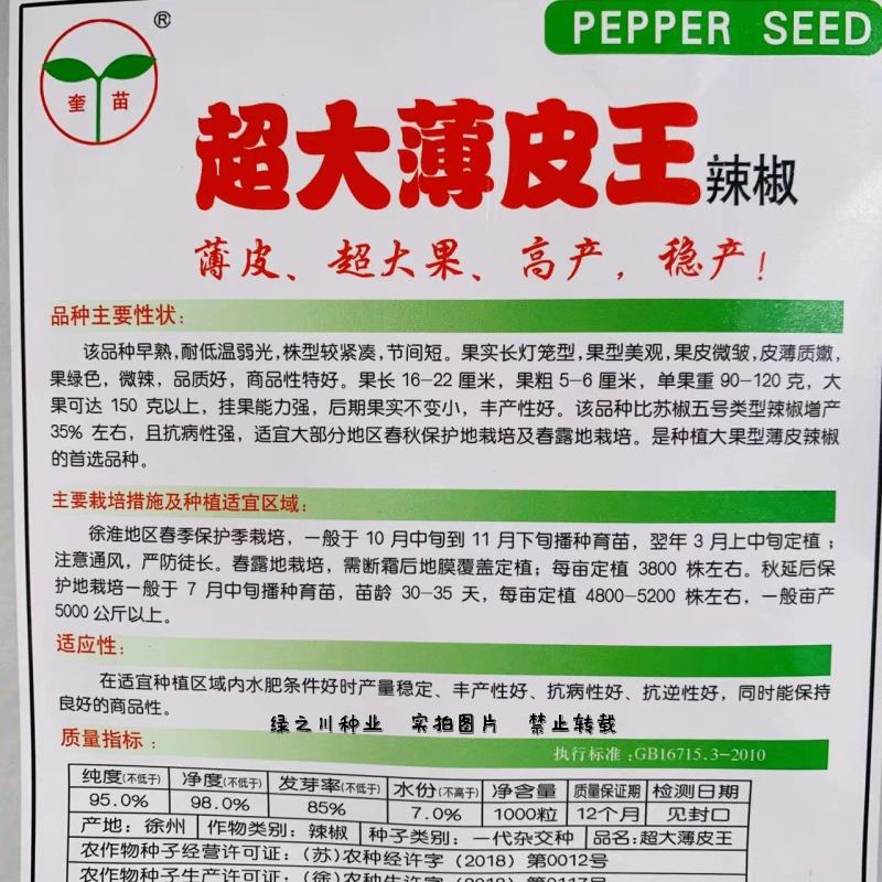 超大薄皮王辣椒种子高产稳产早熟皮薄微辣大果型薄皮椒种子