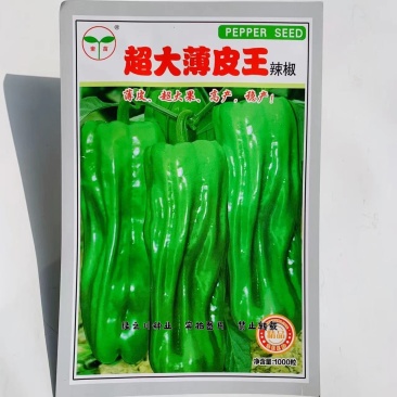 超大薄皮王辣椒种子高产稳产早熟皮薄微辣大果型薄皮椒种子