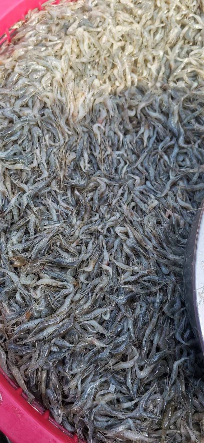 货好就是快