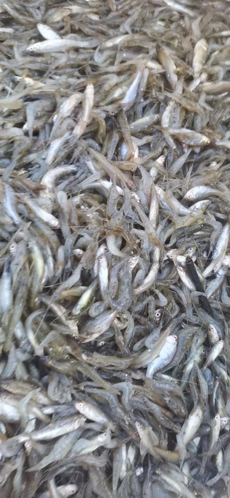 货好就是快