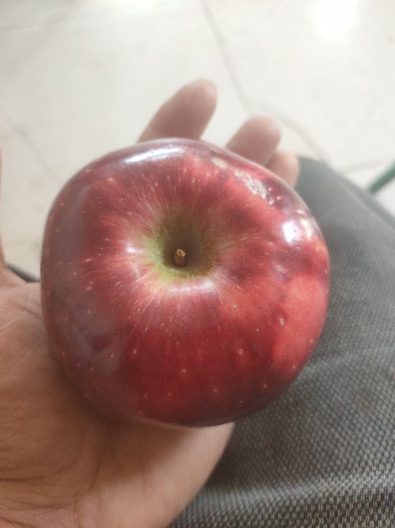 晋中榆次区花牛苹果糖心苹果
