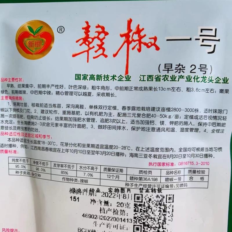 农望赣椒一号辣椒种子老袋早杂2号大果丰产型牛角椒种子