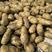 【荐】马铃薯种子繁育基地，荷兰十五，黄金暑，尤金，等等