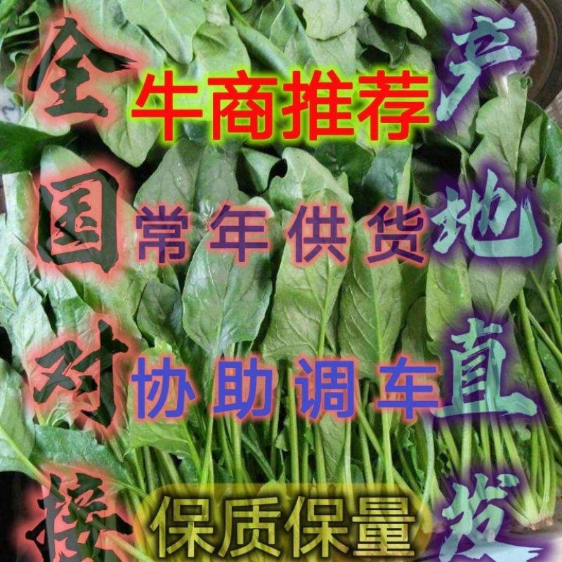 产地直发，一手货源，保质保量保售后，每天新货
