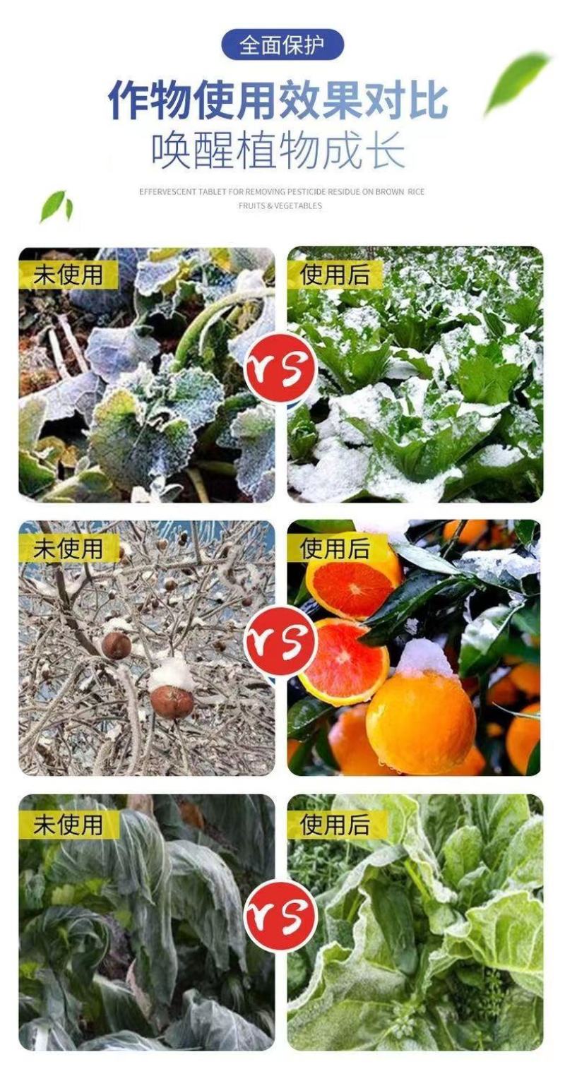 进口植物防冻液抗冻液防冻剂草莓果树蔬菜苗木花卉抗寒解冻