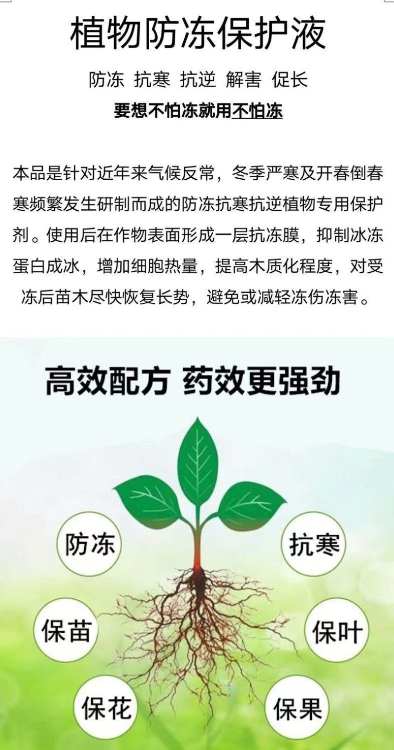 进口植物防冻液抗冻液防冻剂草莓果树蔬菜苗木花卉抗寒解冻