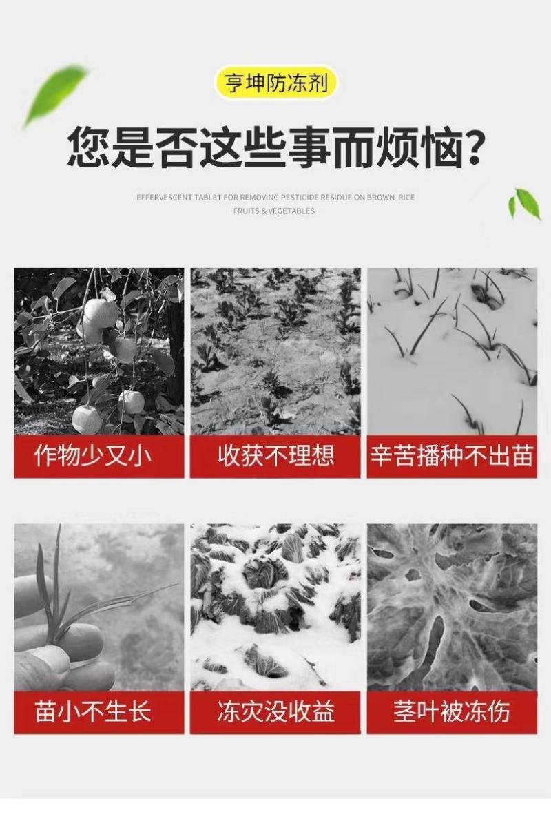 进口植物防冻液抗冻液防冻剂草莓果树蔬菜苗木花卉抗寒解冻