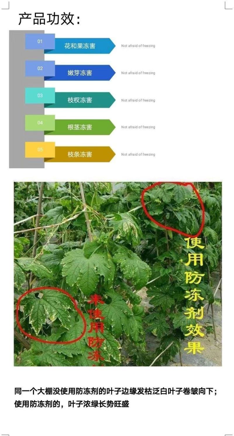 进口植物防冻液抗冻液防冻剂草莓果树蔬菜苗木花卉抗寒解冻