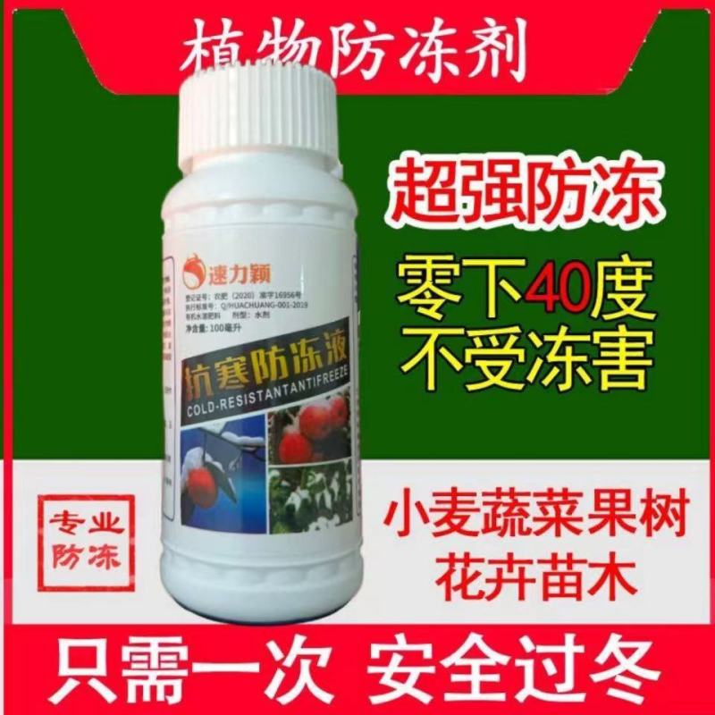 进口植物防冻液抗冻液防冻剂草莓果树蔬菜苗木花卉抗寒解冻