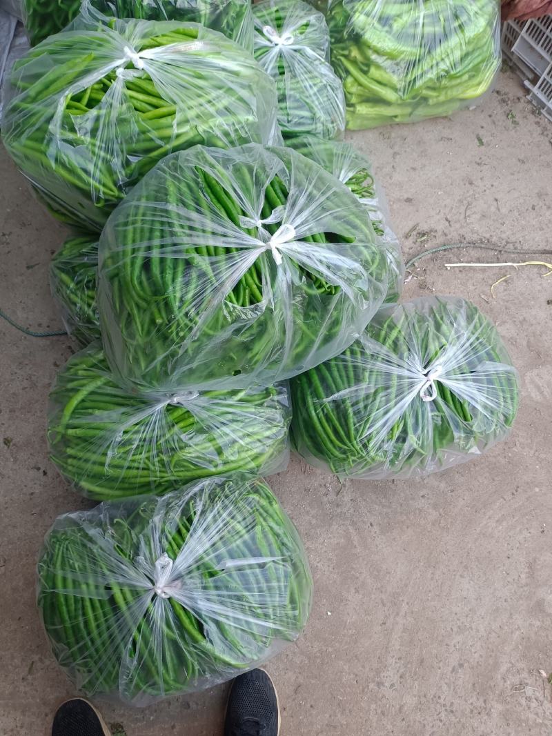 黄皮椒线椒泡椒