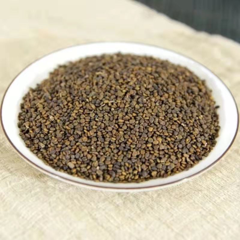 正宗野生沙苑子批批中草药盐炒苑子粉泡茶菟丝子沙苑子