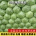 【精品】冷棚宣甘蓝大量上市.质量优.价格低，产地直发。