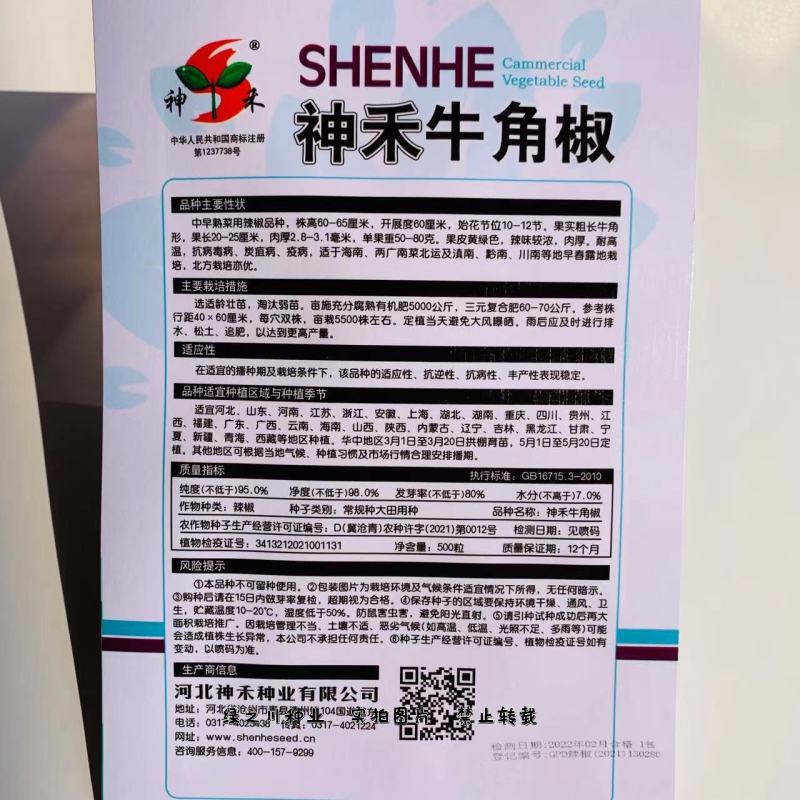 高产神牛大果牛角椒种子庭院小菜园专用辣椒种子牛角辣椒种子