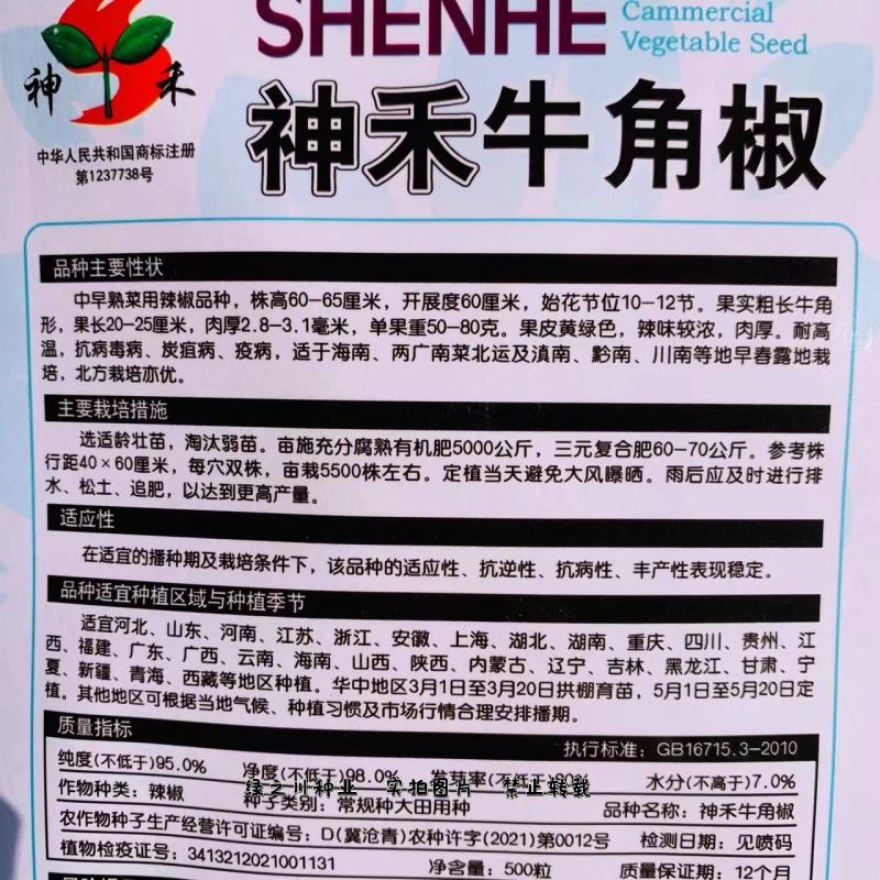 高产神牛大果牛角椒种子庭院小菜园专用辣椒种子牛角辣椒种子