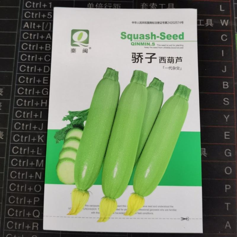 秦闽骄子西葫芦种子种植户农家庭院种植蔬菜种子