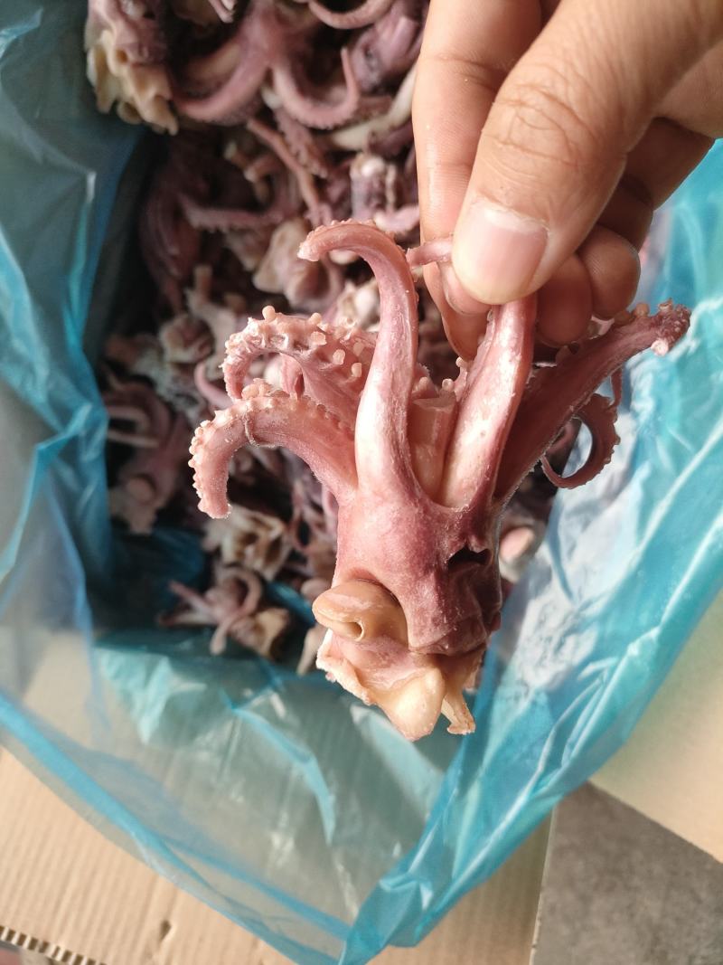 鱿鱼爪小八爪鱿鱼头预熟无冰衣工厂直发