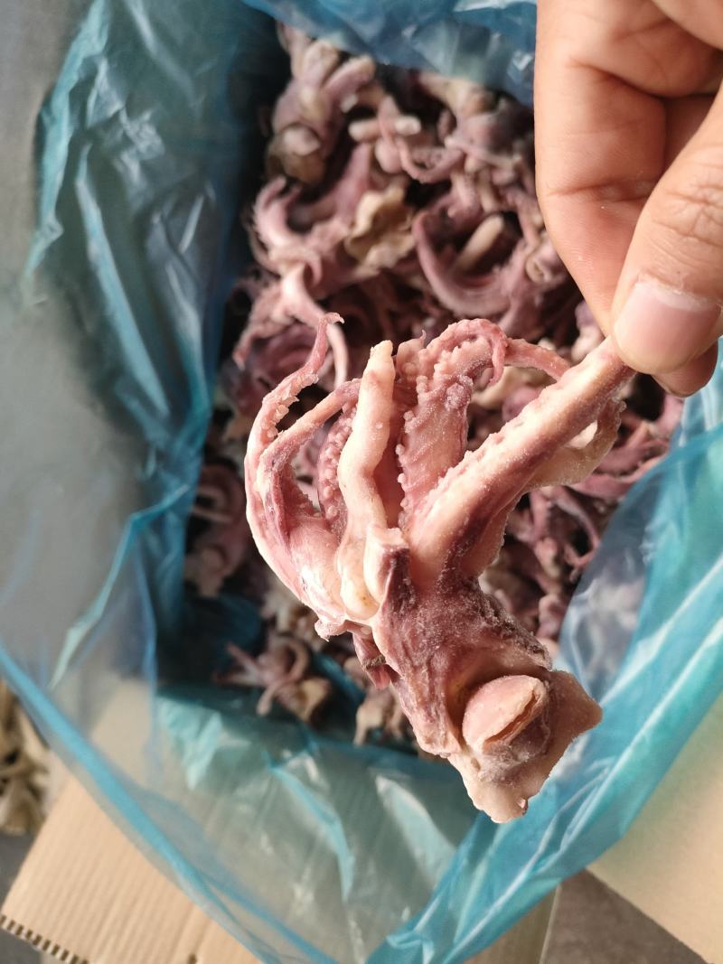 鱿鱼爪小八爪鱿鱼头预熟无冰衣工厂直发