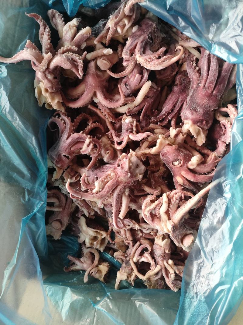 鱿鱼爪小八爪鱿鱼头预熟无冰衣工厂直发