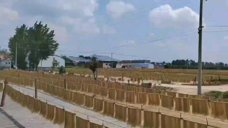 红薯粉条山药粉条