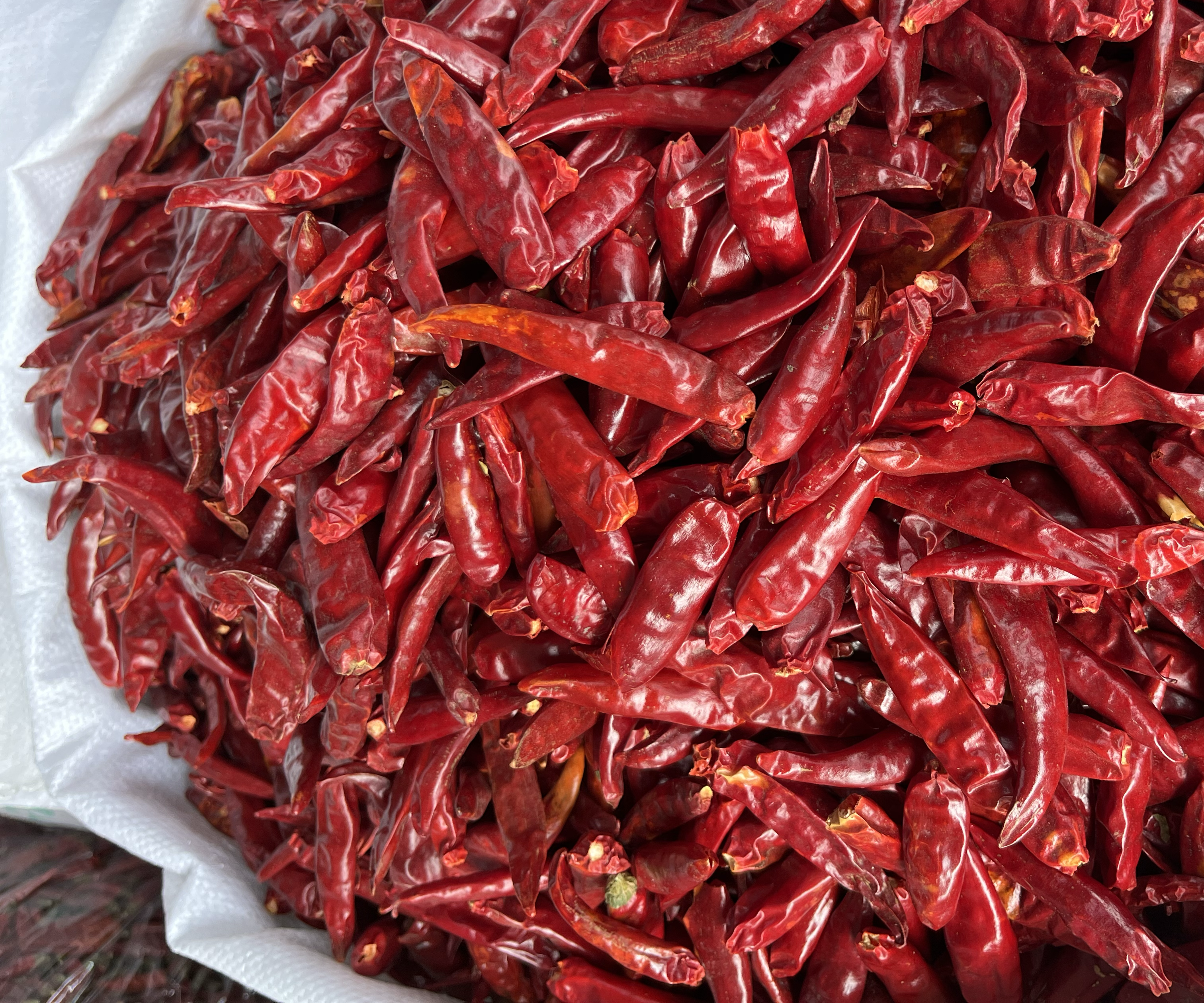 一盘晾晒完成的三樱八号干椒,果实完整、颜色深红发亮、排列整齐,旁边配有放大特写镜头,展示果皮光滑、无破损、无霉变的高品质状态 三樱八号干椒成品展示图