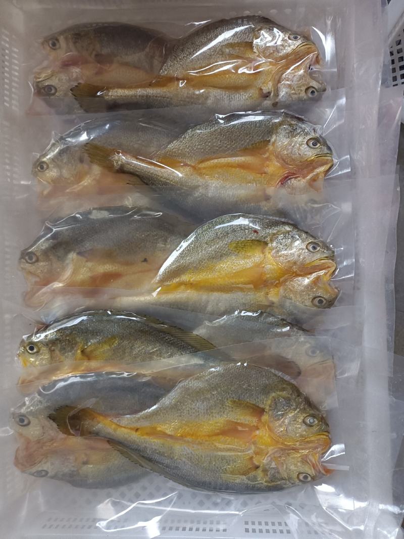 200克以上黄鱼鲞99发十条