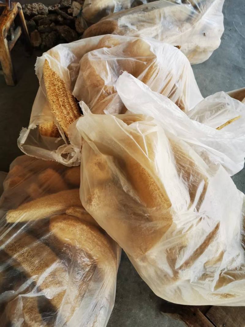 地产大白丝瓜络，是理想产品。