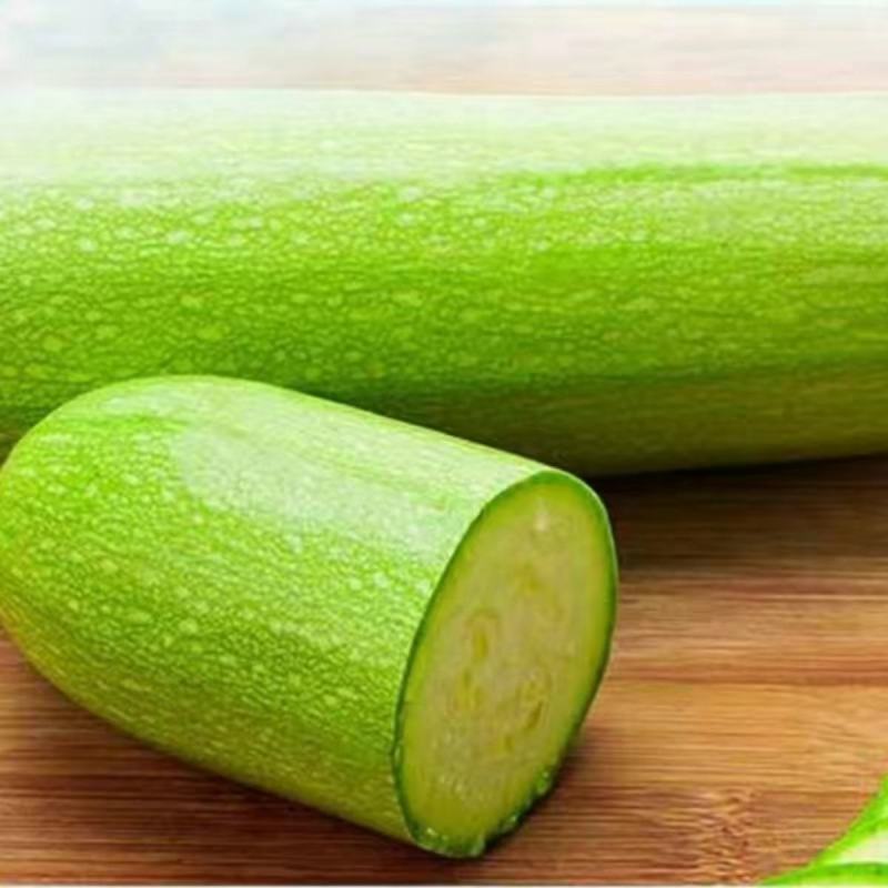 大志绿帅西葫芦种子农户种植户大面积种植蔬菜种子