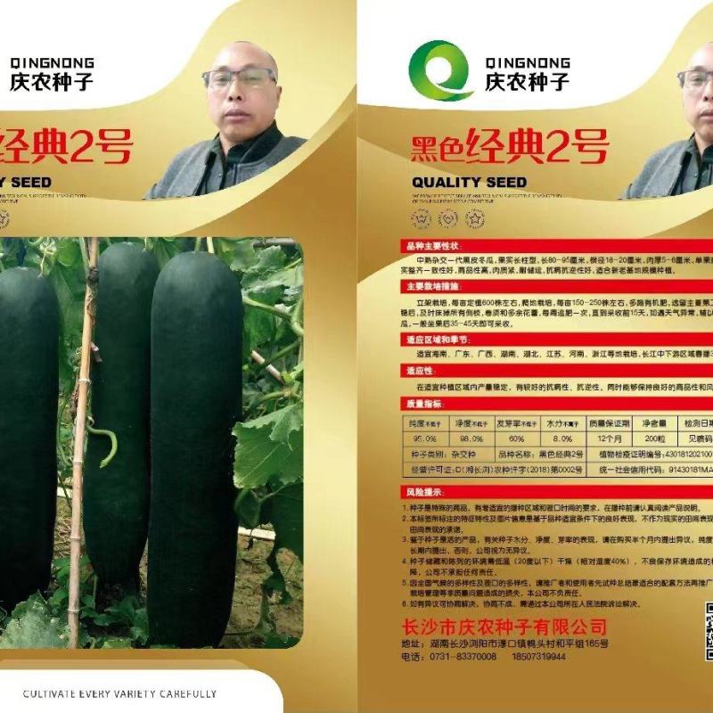 黑色经典2号冬瓜种子