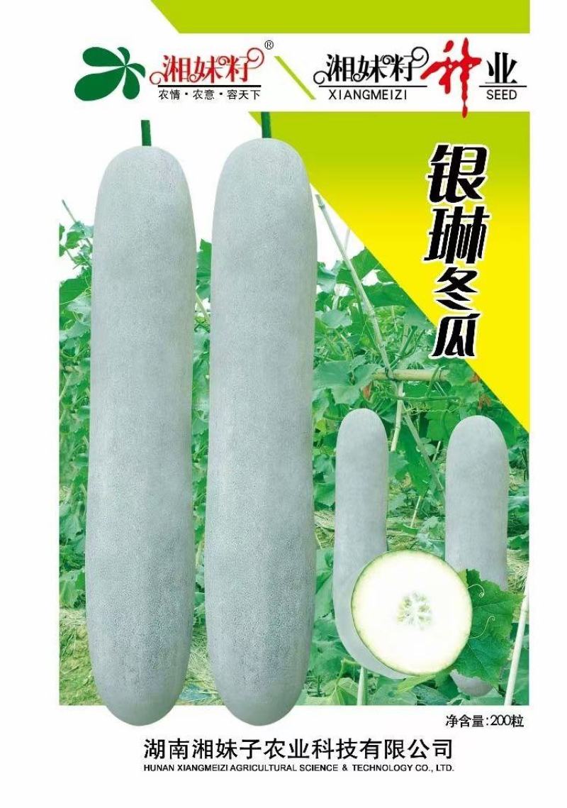 黑色经典2号冬瓜种子