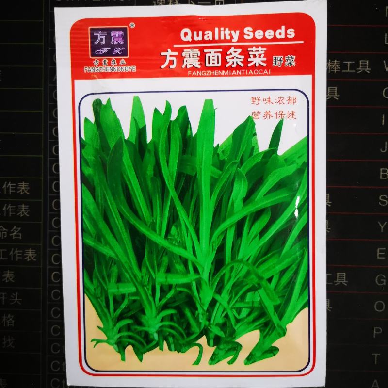 野生面条菜种子农户农家小院阳台均可种植蔬菜种子