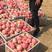 山东山区红富士苹果脆甜可口产地货源充足价格便宜，代发全国