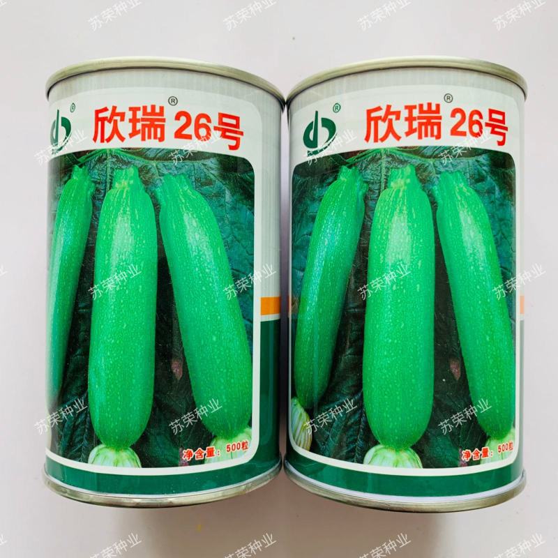 欣瑞26号西葫芦种子高抗病抗寒西葫芦种籽春秋冬杂交中熟高