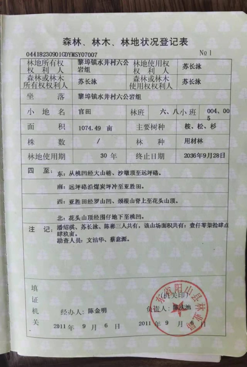 桉树林地转让，6年树龄，每亩可出桉树8吨一10吨，