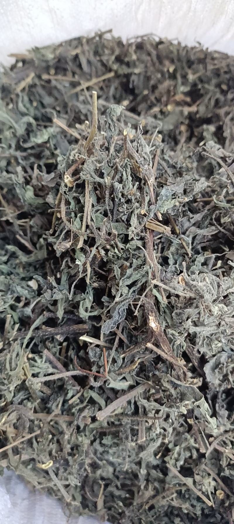 旱莲草