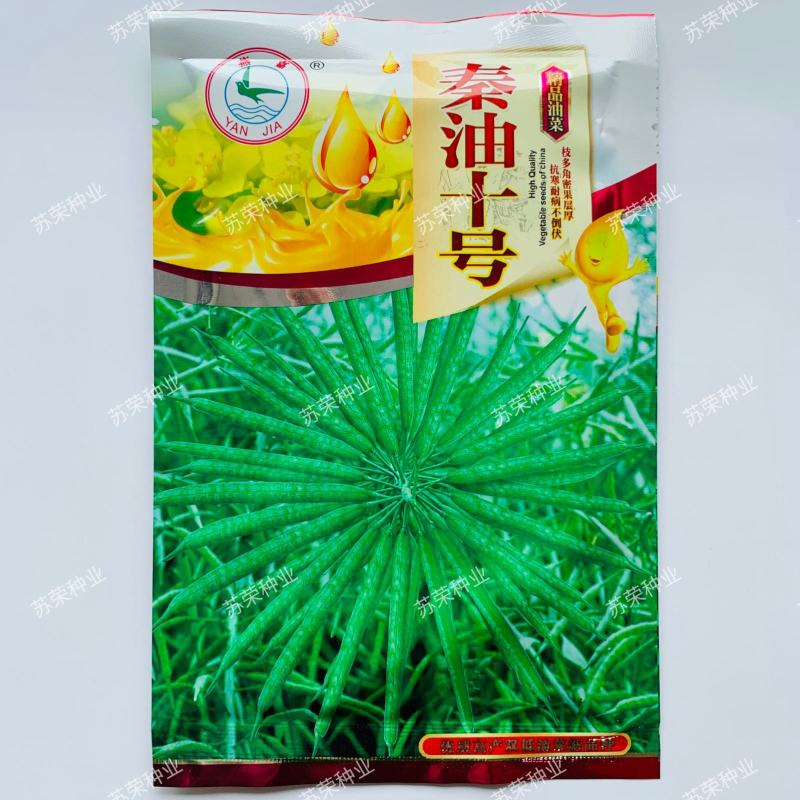 秦油十号油菜种子甘蓝型油菜籽高产抗寒可榨油食用高出油率高