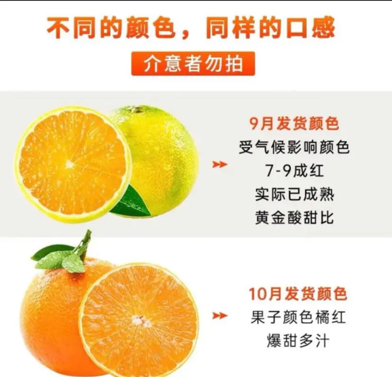 眉山爱媛果冻橙，一件代发，代办。产地供应链