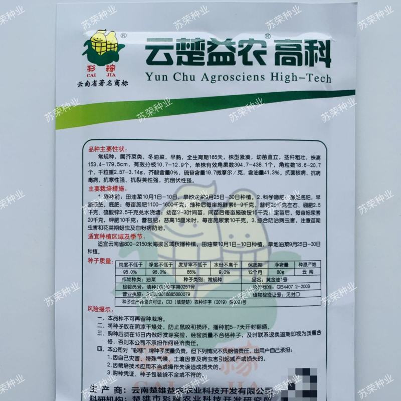 黄金油1号黄油油菜种籽子早熟高产抗病抗倒伏耐寒非转基因