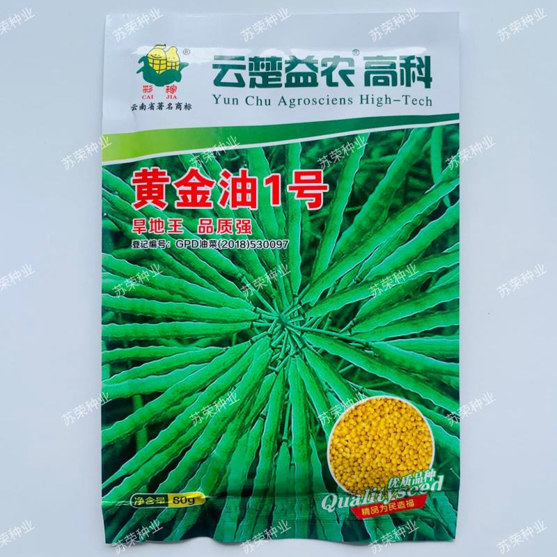 黄金油1号黄油油菜种籽子早熟高产抗病抗倒伏耐寒非转基因