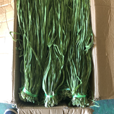 特级贡菜新货大量上市品质保证欢迎新老顾客进店选购