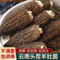 野生羊肚菌包运费