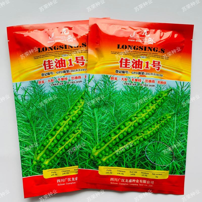 龙盛佳油1号油菜籽种子高产炸油耐寒早熟油菜籽出油高油菜花