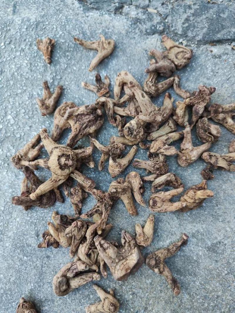 云南三叉白芨
