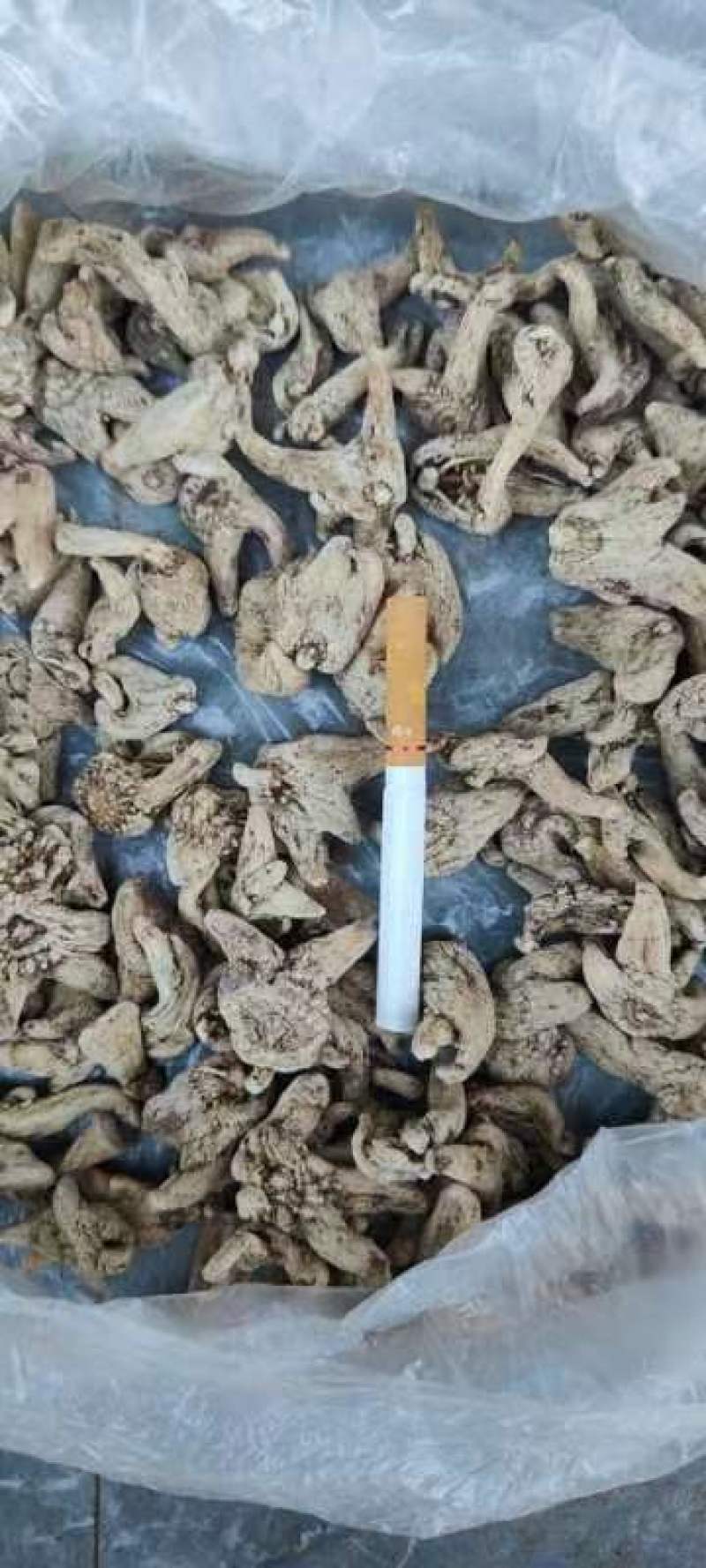云南三叉白芨