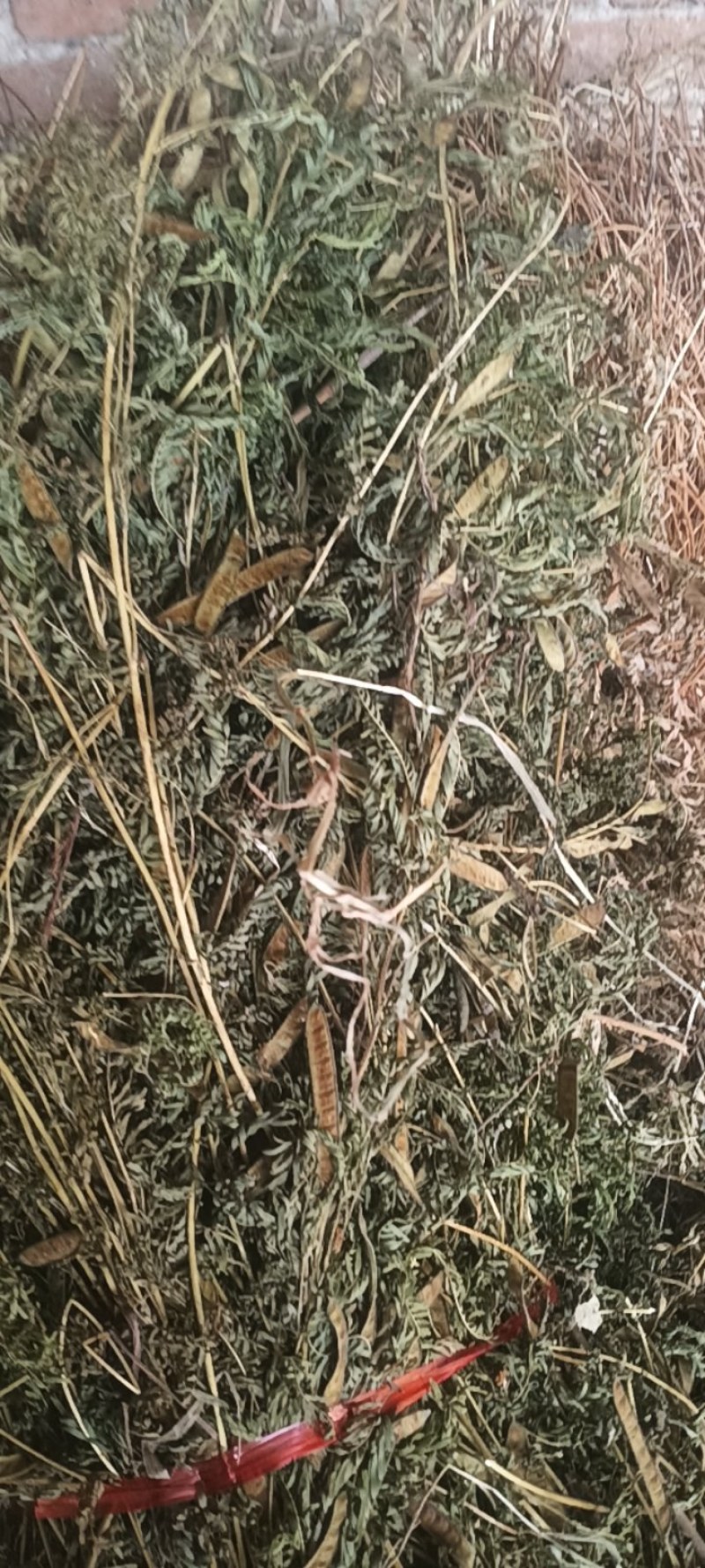 老头草，护肝草，北刘记奴，益母草，四大足浴泡脚神草。