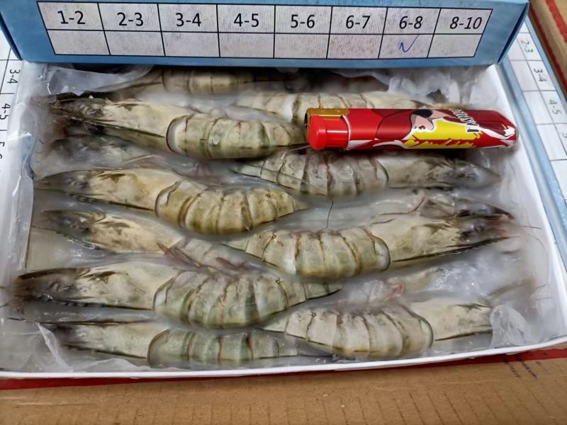 喜隽黑虎虾10盒装/箱一手货源批发价全国走