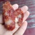 红香鸿品牌香肠