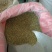 小茴香各规格香料调料原材料可搭配多品种采购大货联系